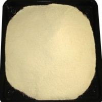 供應(yīng)阿拉伯膠粉末