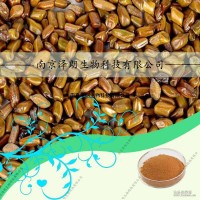 決明子提取物，SC認證OEM代加工固體飲料