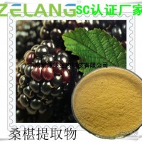 桑椹提取物，代加工固體飲料，液體飲料