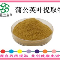 蒲公英葉提取物 蒲公英葉粉 蒲公英黃酮 水溶天然健康原料
