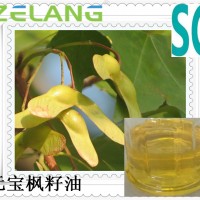 元寶楓籽油飲品ODM，低溫微波滅菌