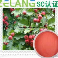 山楂濃縮粉，SC認(rèn)證廠家，壓片糖果