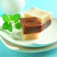 堿化可可粉 進(jìn)口可可粉 可可粉價(jià)格