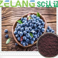 代加工藍莓提取物，藍莓濃縮粉