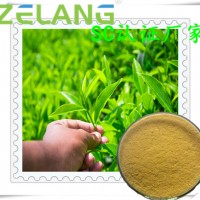 綠茶提取物壓片代加工，綠茶壓片糖果