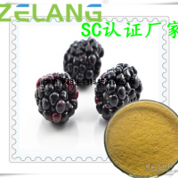 黑莓提取物，ISO22000食品安全認(rèn)證