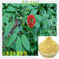 人參莖葉壓片代加工，南京澤朗廠家生產(chǎn)