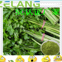 芹菜濃縮粉，固體飲料代加工，芹菜粉