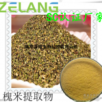槐米提取物，槐米粉，槐米濃縮粉，ISO22000食品安全認(rèn)證