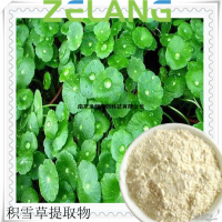 積雪草總苷80%40%20%