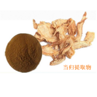 當歸粉10:1水溶當歸提取物