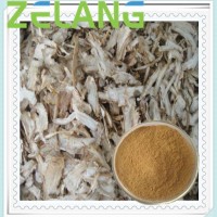 代加工當(dāng)歸提取物Angelica Extract