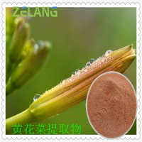 黃花菜提取物,代加工黃花菜提取物