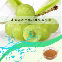 余甘子固體飲料，液體飲料代加工，余甘子提取物，余甘子壓片