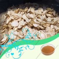 代加工人參提取物，人參莖葉提取物，藥食同源提取物生產(chǎn)廠家