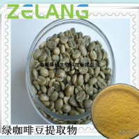 咖啡酸99%Caffeic acid