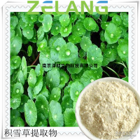 羥基積雪草酸madecassic acid1～98%