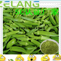 黃秋葵濃縮粉，代加工水果汁，蔬菜汁，水果粉，蔬菜粉