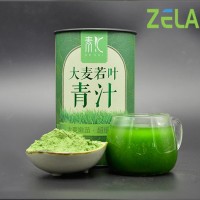 ODM大麥若葉青汁粉