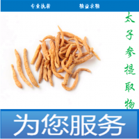 太子參肽現貨供應太子參低聚肽