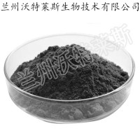 青黛粉 青黛提取物 10:1 20:1  多種規(guī)格