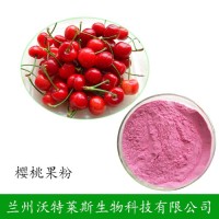 櫻桃 櫻桃粉 櫻桃汁粉 批發供應