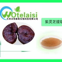 紫靈芝提取物  紫芝粉   紫芝提取物  包郵