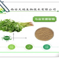 馬齒莧提取物10:1 天瑞生物廠家供應