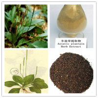 車前草肽現(xiàn)貨供應(yīng)