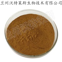 倒扣草提取物 10:1   20:1  多種規(guī)格