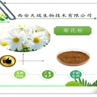菊花提取物10:1藥食同源產品供應