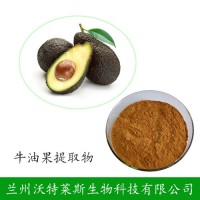 牛油果/鱷梨粉 牛油果粉 各種果粉可定制