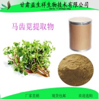 馬齒莧提取物    馬齒筧多糖 馬齒筧多肽  馬齒莧粉
