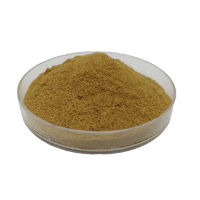 馬蹄提取物 馬蹄速溶粉 荸薺粉  多種規格
