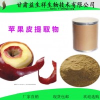 根皮苷98%  根皮甙 蘋果皮提取物 根皮素