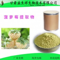 菠蘿粉 優質菠蘿果汁粉 速溶鳳梨果粉