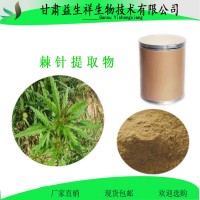 棘針提取物 10:1  棘針?biāo)偃芊? 一公斤起訂