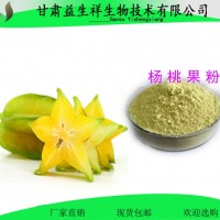 楊桃果粉 楊桃果汁粉 楊桃速溶粉