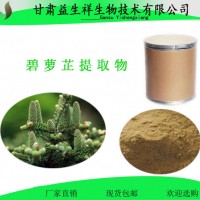 碧蘿芷提取物  益生祥  碧蘿芷濃縮粉
