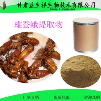 雄蠶蛾提取物 10：1 雄蠶蛾粉