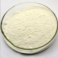 人參粉 人參速溶粉  人參甙 沃特萊斯 人參提取液
