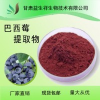 巴西莓提取物 阿薩伊果提取物 花青素25% 花色苷 巴西莓粉