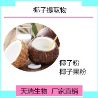 椰子速溶粉 椰子濃縮粉飲料原料