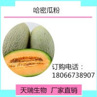 哈密瓜粉 哈密瓜果粉寧夏基地種植天瑞生物廠家現貨
