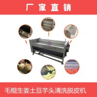 毛輥生姜清洗脫皮機，洗馬蹄，芋頭蘿卜紫薯土豆清洗去皮削皮機