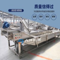 大洋牌連續式洋蔥清洗設備 全自動翻浪式果蔬清洗機
