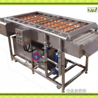果蔬類清洗機，枸杞青棗清棗生產線