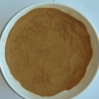 樺褐孔菌提取物 樺褐孔菌多糖