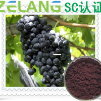 黑加侖濃縮粉 ，壓片糖果代加工，SC認(rèn)證
