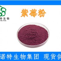 紫莓粉又叫黑加侖粉（黑穗醋栗粉）99%榨汁濃縮 水溶性